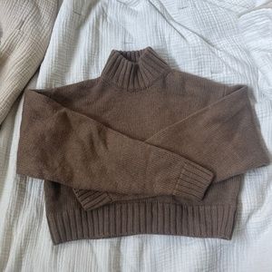 Aritzia cropped merino wool sweater